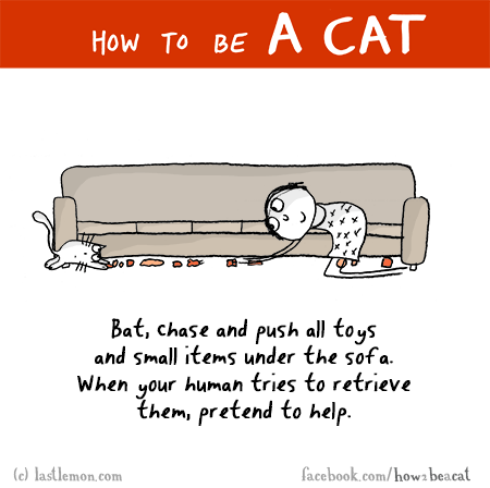 Cats...: HOW TO BE A CAT: Bat, chase and push all toys and small items under the sofa. When your human tries to retrieve them, pretend to help.