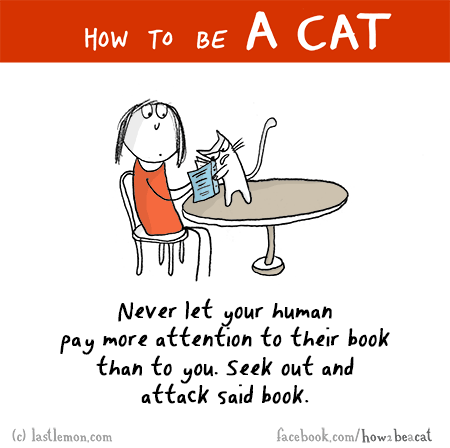 Cats...: HOW TO BE A CAT: Never let your human pay more attention to their book than to you. Seek out and attack said book.