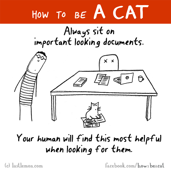Cats...: HOW TO BE A CAT: Always sit on important looking documents. Your human will find this most helpful when looking for them.
