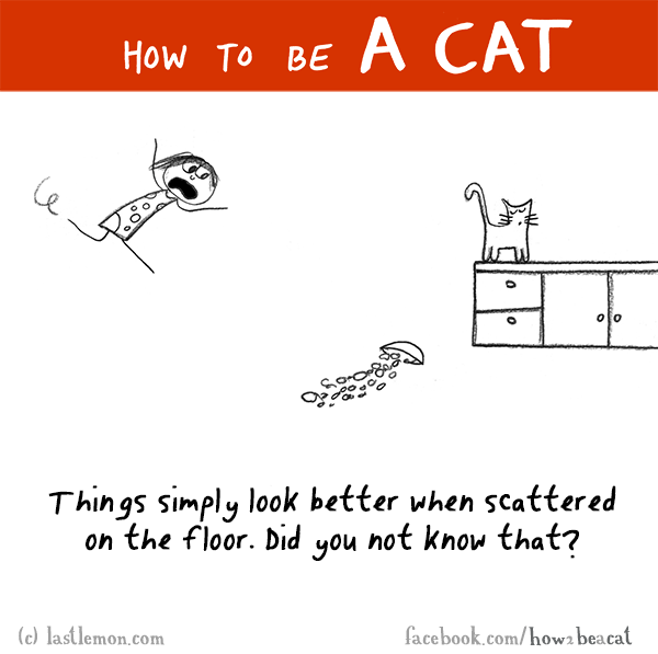 Cats...: HOW TO BE A CAT: Things simply look better when scattered on the floor. Did you not know that?