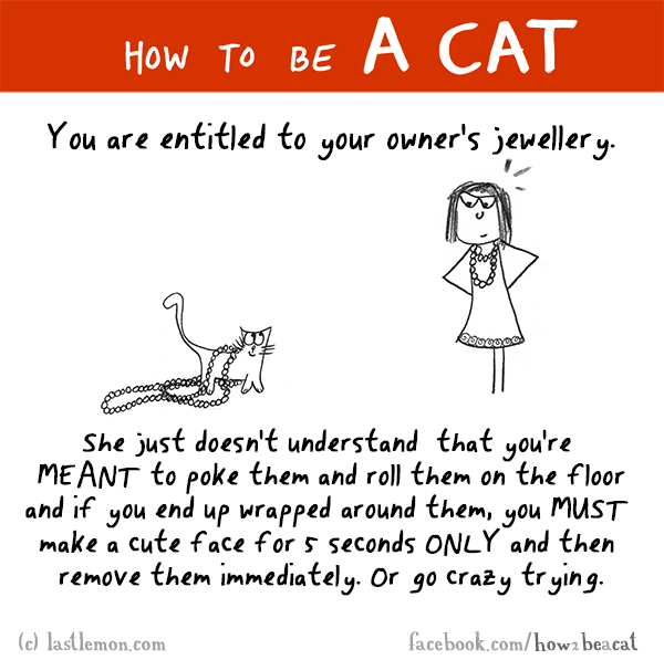 Cats...: HOW TO BE A CAT: You are entitled to your owner's jewellery.