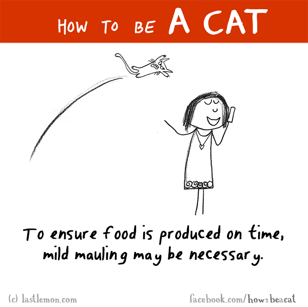 Cats...: HOW TO BE A CAT: To ensure food is produced on time, mild mauling may be necessary.