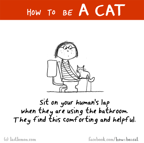 Cats...: HOW TO BE A CAT: Sit on your human's lap when they are using the bathroom. They find this comforting and helpful.