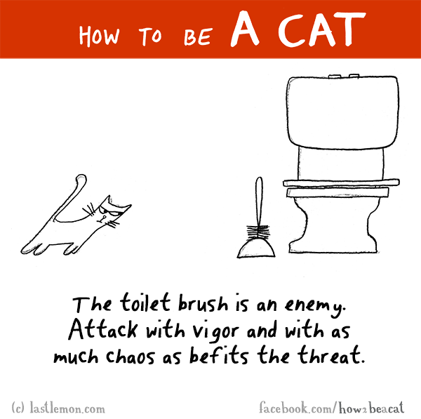 Cats...: HOW TO BE A CAT: The toilet brush is an enemy. Attack with vigor and with as much chaos as befits the threat.