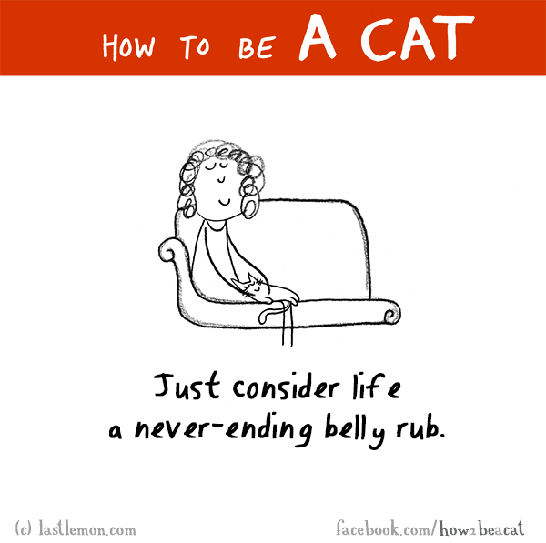 Cats...: HOW TO BE A CAT: Just consider life a never-ending belly rub.