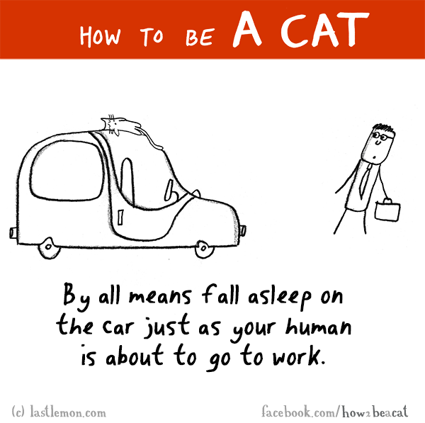 Cats...: HOW TO BE A CAT: By all means fall asleep on the car just as your human is about to go to work.