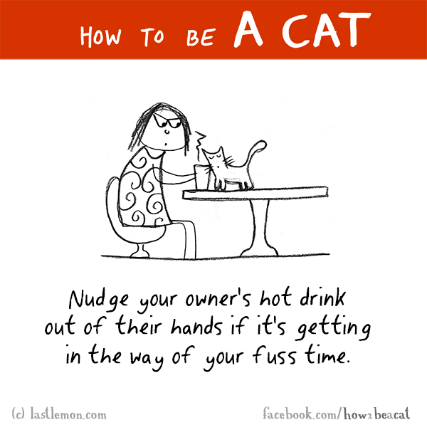 Cats...: HOW TO BE A CAT: Nudge your owner's hot drink out of their hands if it's getting in the way of your fuss time.