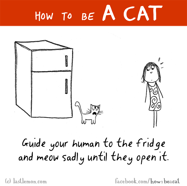Cats...: HOW TO BE A CAT: Guide your human to the fridge and meow sadly until they open it.