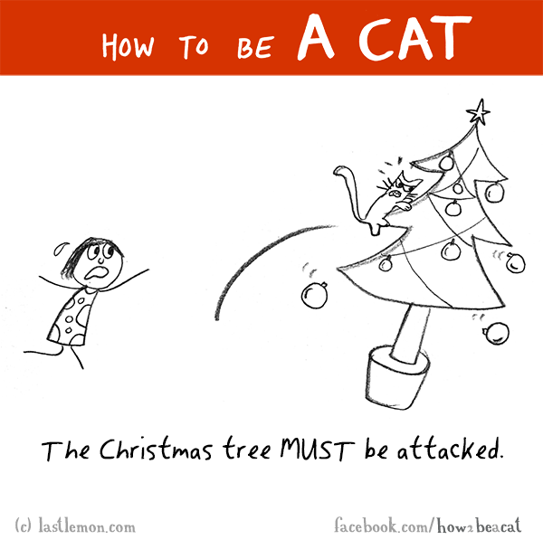 Cats...: HOW TO BE A CAT: The Christmas tree MUST be attacked.