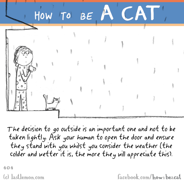Cats...: HOW TO BE A CAT: The decision to go outside is an important one and not to be taken lightly. Ask your human to open the door and ensure they stand with you whilst you consider the weather (the colder and wetter it is, the more they will appreciate this).