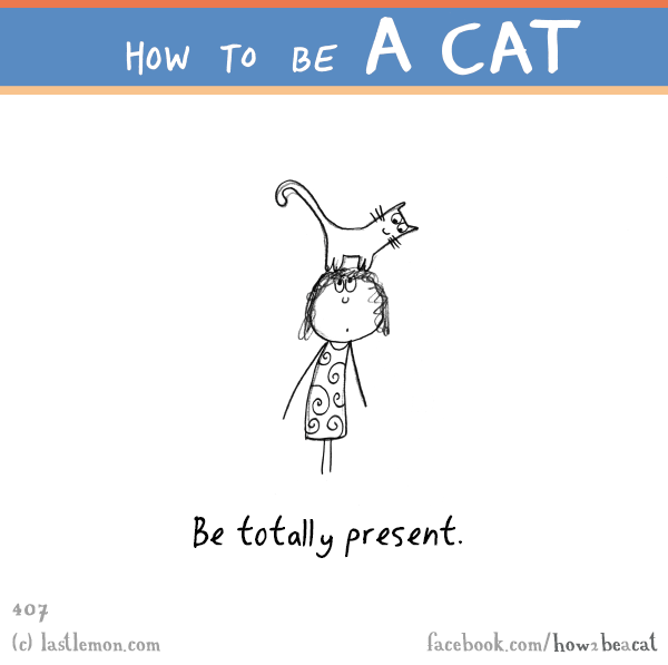 Cats...: HOW TO BE A CAT: Be totally present.