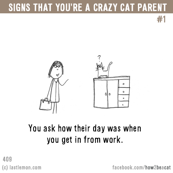 Cats...: Signs that you’re a CRAZY CAT PARENT #1: You ask how their day was when you get in from work.