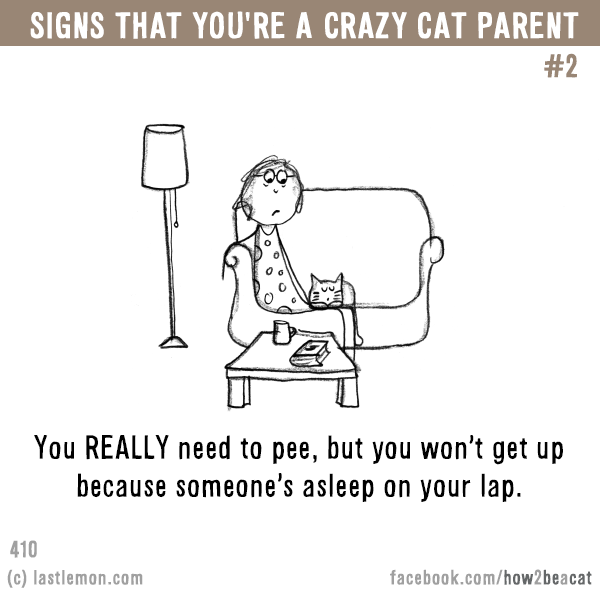 Cats...: Signs that you’re a CRAZY CAT PARENT #2: You REALLY need to pee, but you won’t get up because someone’s asleep on your lap.
