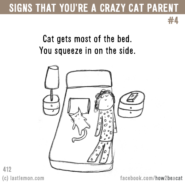 Cats...: Signs that you’re a CRAZY CAT PARENT #4: Cat gets most of the bed. You squeeze in on the side.