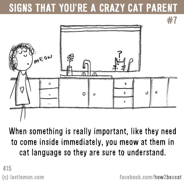 Cats...: Signs that you’re a CRAZY CAT PARENT #7: When something is really important, like they need to come inside immediately, you meow at them in cat language so they are sure to understand.
