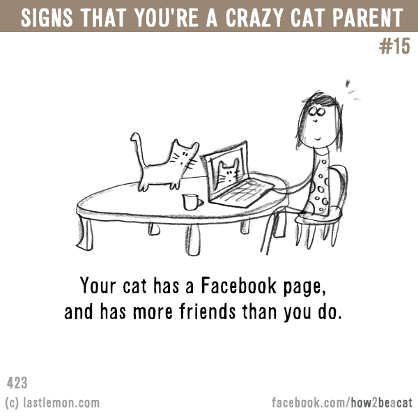 Cats...: Signs that you’re a CRAZY CAT PARENT #15: Your cat has a Facebook page, and has more friends than you do.