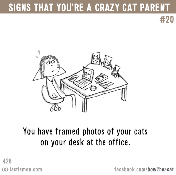 Cats...: Signs that you’re a CRAZY CAT PARENT #20: You have framed photos of your cats on your desk at the office.