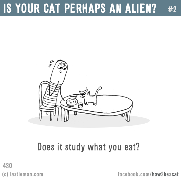 Cats...: IS YOUR CAT PERHAPS AN ALIEN? #2: Does it study what you eat?