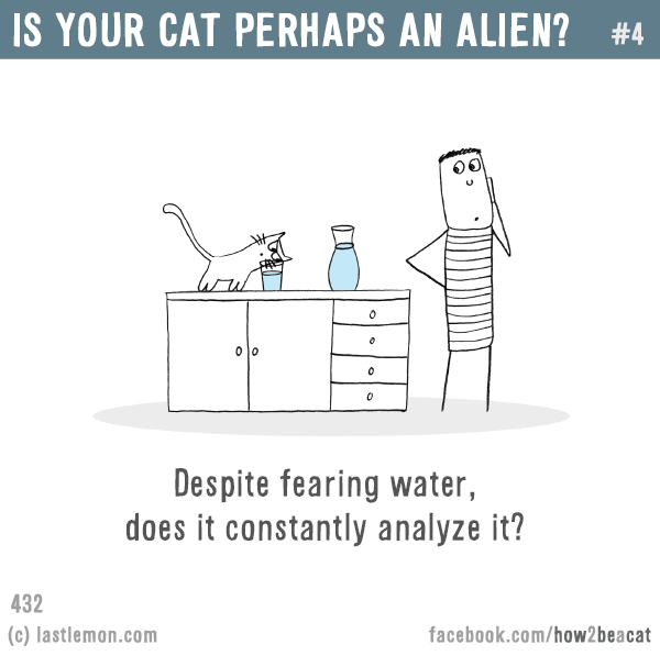 Cats...: IS YOUR CAT PERHAPS AN ALIEN? #4: Despite fearing water, does it constantly analyze it?