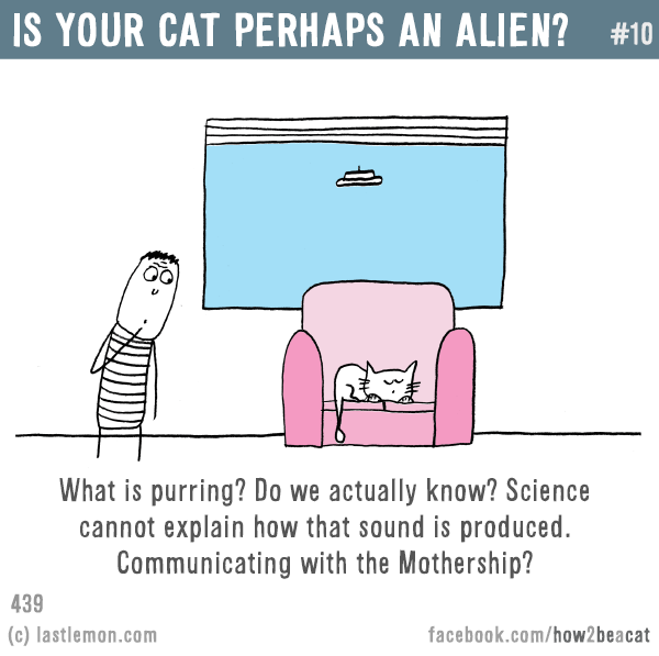 Cats...: IS YOUR CAT PERHAPS AN ALIEN? What is purring? Do we actually know? Science cannot explain how that sound is produced. Communicating with the Mothership?