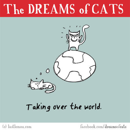 Cats...: DREAMS OF CATS: Taking over the world