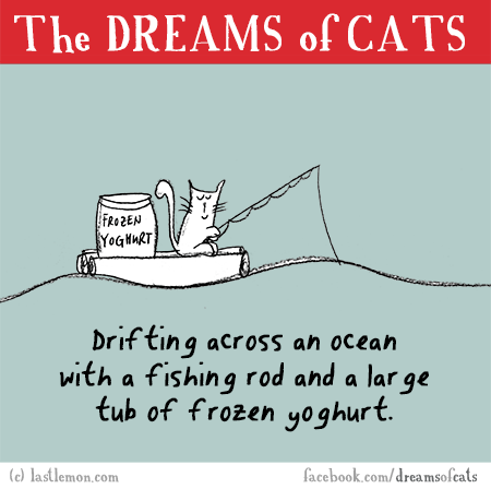 Cats...: THE DREAMS OF CATS: Drifting across the ocean with a fishing rod and a large tub of frozen yoghurt