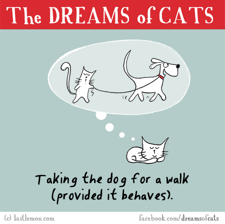 Cats...: THE DREAMS OF CATS: Taking the dog for a walk (provided it behaves)