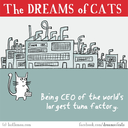 Cats...: THE DREAMS OF CATS: Being CEO of the world's largest tuna factory