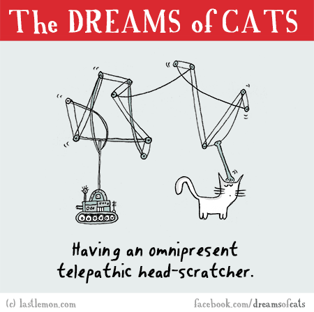 Cats...: THE DREAMS OF CATS: Having an omnipresent, telepathic head-scratcher