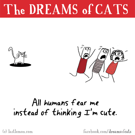 Cats...: THE DREAMS OF CATS: All humans fear me instead of thinking I'm cute