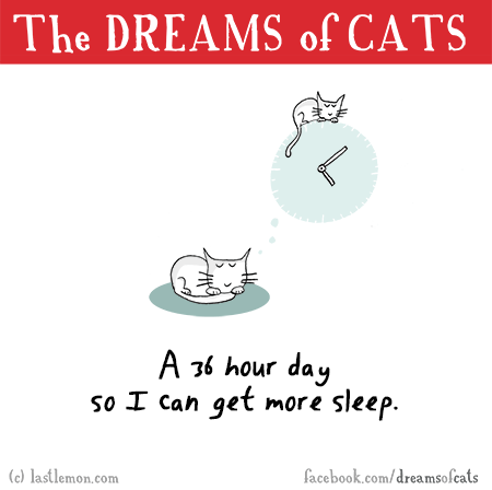 Cats...: THE DREAMS OF CATS: A 36 hour day so I can get more sleep