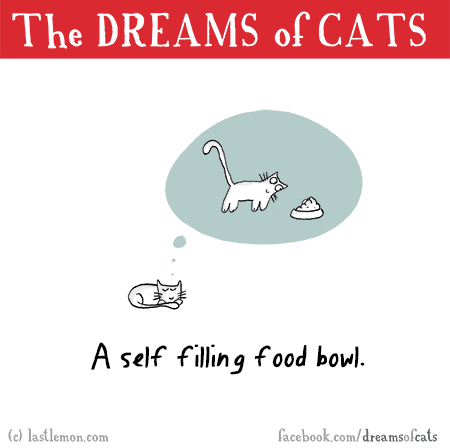Cats...: THE DREAMS OF CATS: A self-filling food bowl