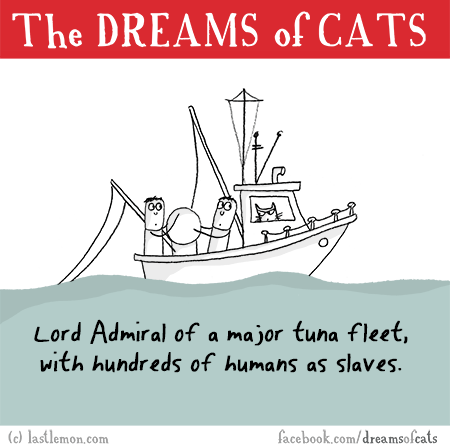 Cats...: THE DREAMS OF CATS: Lord Admiral of a major fishing fleet, with hundreds of humans as slaves