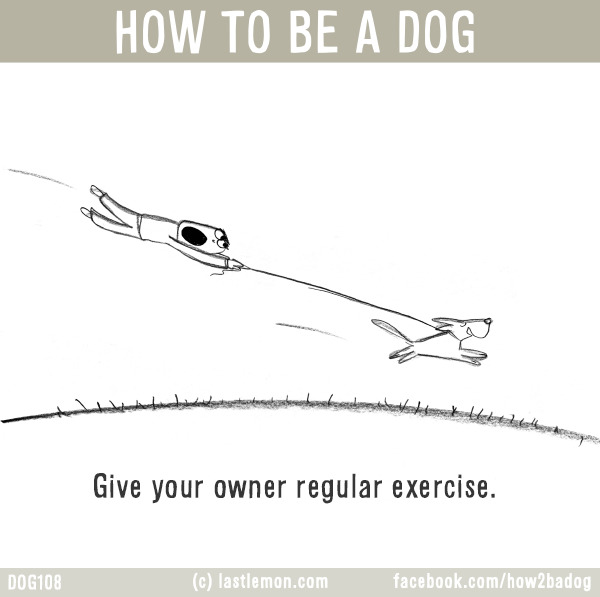 Dogs...: HOW TO BE A DOG: Give your owner regular exercise.
