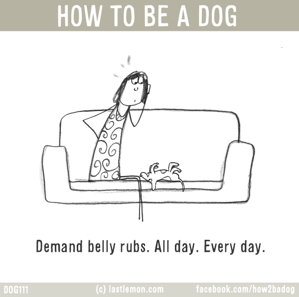Dogs...: HOW TO BE A DOG: Demand belly rubs. All day. Every day. 