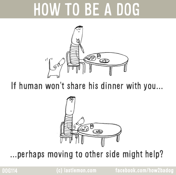 Dogs...: HOW TO BE A DOG: If human won't share his dinner with you...perhaps moving to other side might help?