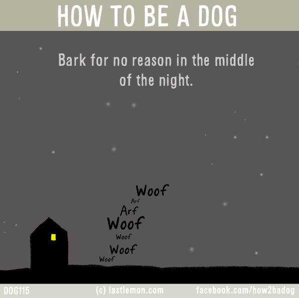 Dogs...: HOW TO BE A DOG: Bark for no reason in the middle of the night.