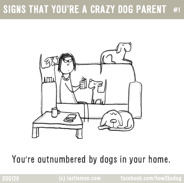 Dogs...: SIGNS THAT YOU'RE A CRAZY DOG PARENT #1: You’re outnumbered by dogs in your home.