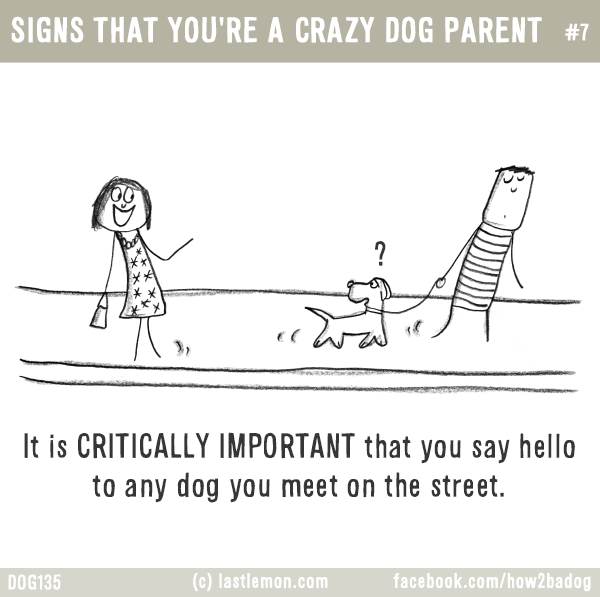 Dogs...: SIGNS THAT YOU'RE A CRAZY DOG PARENT #7: It is CRITICALLY IMPORTANT that you say hello to any dog you meet on the street.