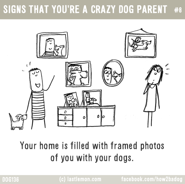 Dogs...: SIGNS THAT YOU'RE A CRAZY DOG PARENT #8: Your home is filled with framed photos of you with your dogs.