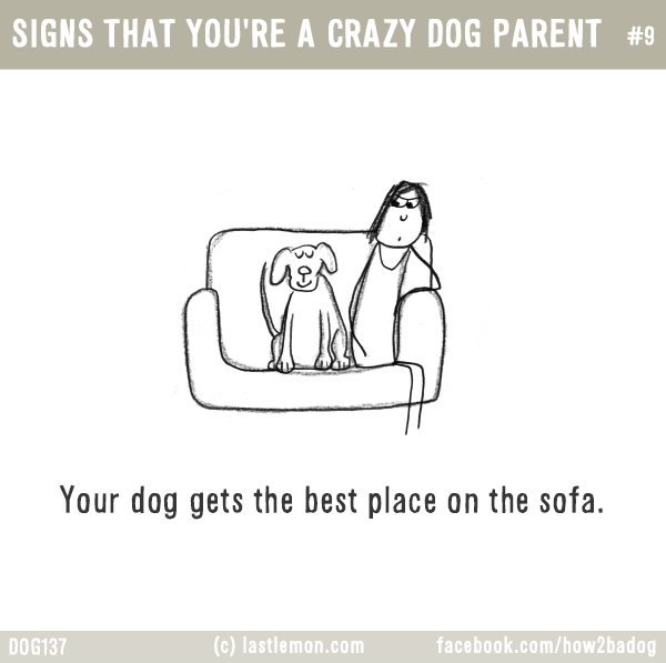 Dogs...: SIGNS THAT YOU'RE A CRAZY DOG PARENT #9: Your dog gets the best place on the sofa.