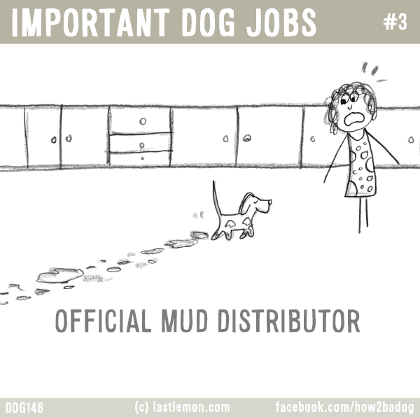 Dogs...: IMPORTANT DOG JOBS #3: OFFICIAL MUD DISTRIBUTOR
