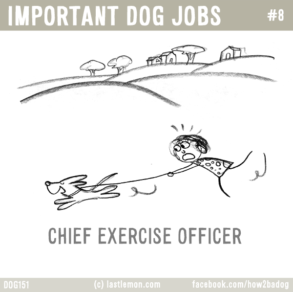 Dogs...: IMPORTANT DOG JOBS #8: CHIEF EXERCISE OFFICER