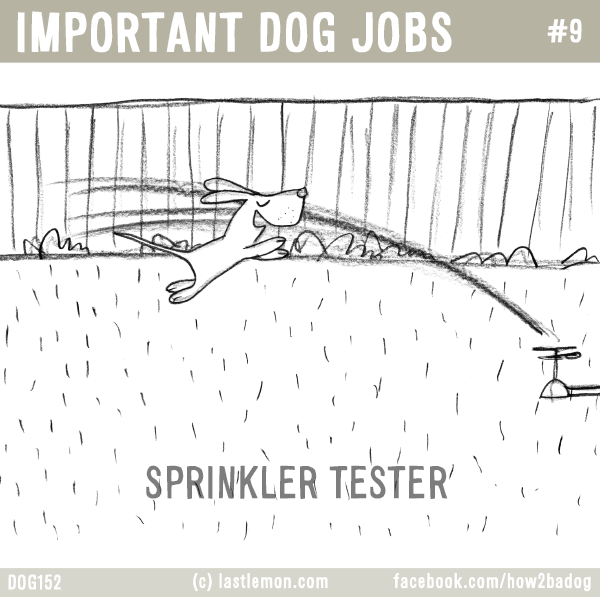 Dogs...: IMPORTANT DOG JOBS #9: SPRINKLER TESTER