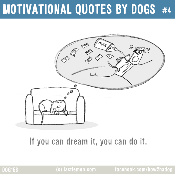 Dogs...: MOTIVATIONAL QUOTES BY DOGS #4: If you can dream it, you can do it.