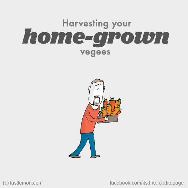 Foodie: Harvesting your home-grown vegees