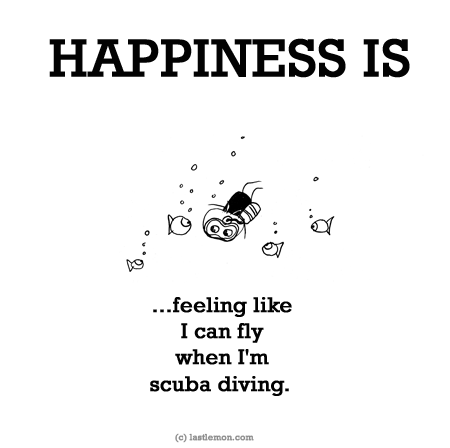 Happiness: HAPPINESS IS: Feeling like I can fly when I'm scuba diving. 