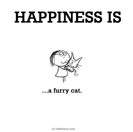 Happiness: HAPPINESS IS...a furry cat.