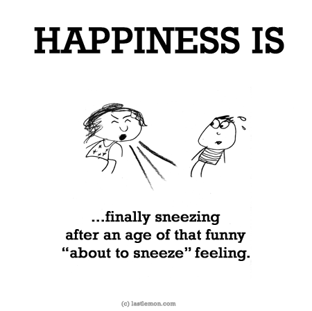 Happiness: HAPPINESS IS...finally sneezing after an age of that funny “about to sneeze” feeling.