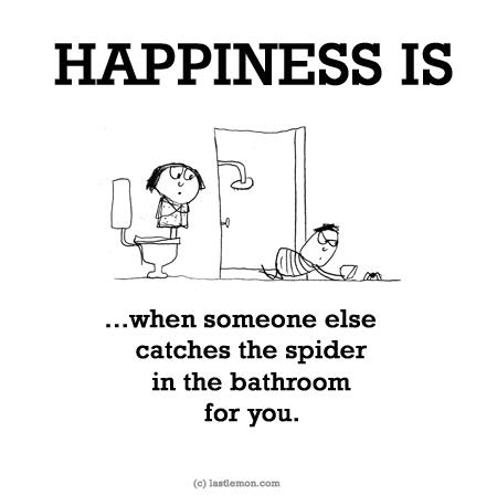 Happiness: HAPPINESS IS...when someone else catches the spider in the bathroom for you.